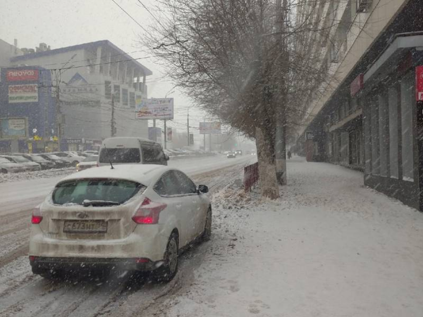 Метель и сильный ветер вновь придут в Волгоградскую область